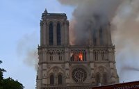 Эксперт рассказала, почему на самом деле произошел пожар в соборе Парижской Богоматери