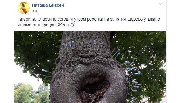 «Наркоманский флешмоб»: В Днепре дерево утыкали иглами от шприцев «Наркоманский флешмоб»: В Днепре дерево утыкали иглами от шприцев