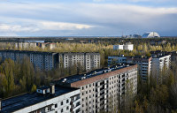 «Пусть холопы ждут». Сотни иностранных туристов не смогут попасть в Чернобыль из-за Зеленского