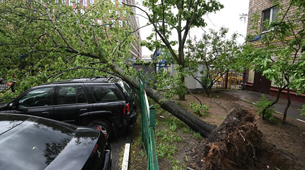 От урагана в Москве погибли восемь человек От урагана в Москве погибли восемь человек