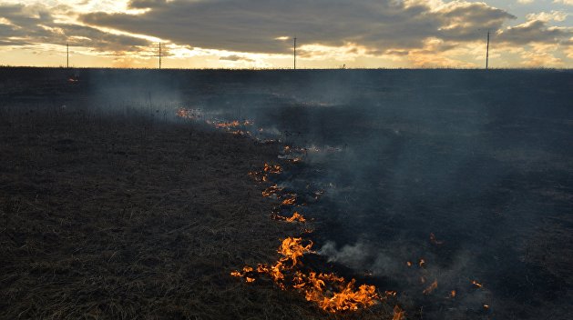 Украинцев в северных областях страны предупредили о чрезвычайной пожароопасности