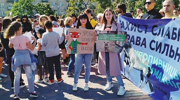 День гнева. Противников Авакова под зданием Рады сменили зоозащитники