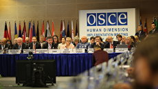 Как украинские пропагандисты на совещании ОБСЕ со свободой слова боролись
