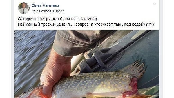 «Восставшая из мёртвых»: под Днепром из реки выловили щуку-франкенштейна «Восставшая из мёртвых»: под Днепром из реки выловили щуку-франкенштейна