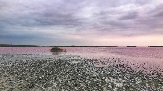 Украинское Мертвое море оказалось на грани катастрофы — СМИ Украинское Мертвое море оказалось на грани катастрофы — СМИ