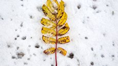 Глава МИД Латвии пригрозил запретить зиму