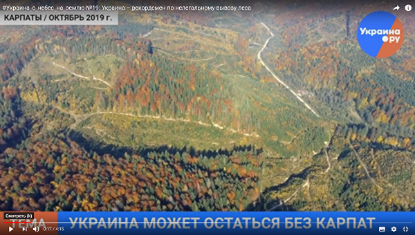 Тайны Буковинского лесничества или как рубят лес в Прикарпатье Тайны Буковинского лесничества или как рубят лес в Прикарпатье