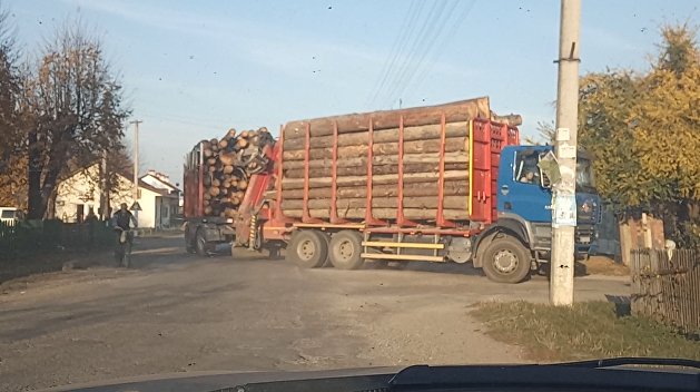 Тайны Буковинского лесничества или как рубят лес в Прикарпатье Тайны Буковинского лесничества или как рубят лес в Прикарпатье