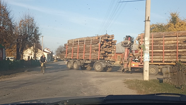 Тайны Буковинского лесничества или как рубят лес в Прикарпатье Тайны Буковинского лесничества или как рубят лес в Прикарпатье