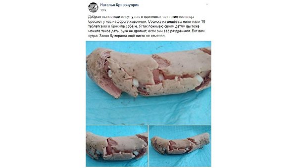 Днепровские догхантеры травят животных сосисками с противотуберкулезными таблетками Днепровские догхантеры травят животных сосисками с противотуберкулезными таблетками