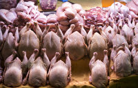 Украинские курицы переходят в наступление на мировой рынок - прогноз