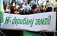 Битва за землю: в чьих интересах Киев проводит земельную реформу