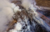 В Житомирской области пожарные третий день не могут потушить горящий лес