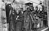 Могла ли Красная армия освободить Освенцим раньше?