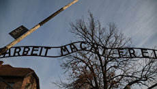 «Не Красная армия». Der Spiegel рассказал, кто «на самом деле» освободил Освенцим, но потом извинился