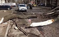 Мощный ураган в Одессе: шокирующие последствия — видео