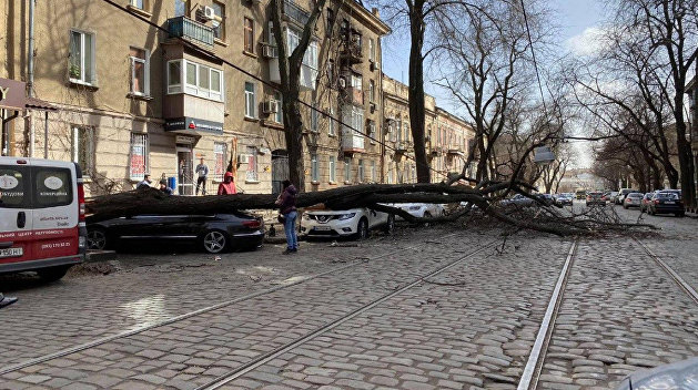 Ураган в Одессе и ветер в голове: «Слуга народа» атаковал власти города из-за стихии