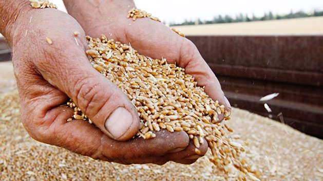Россия может заставить недружественные страны покупать зерно за рубли - экономист