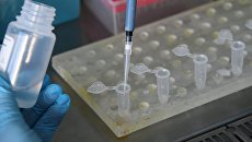 Украинские ученые разработали комбинированный тест на COVID-19 и грипп