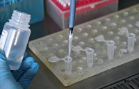 В Узбекистане начнут лечить коронавирус отечественным препаратом