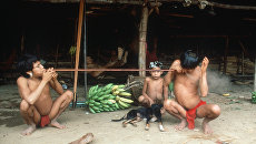 Коронавирус может стереть с лица земли индейские племена бразильской Амазонии