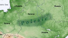 Чьё Полесье? История и перспективы белорусско-украинской борьбы за спорный регион