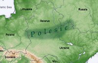 Чьё Полесье? История и перспективы белорусско-украинской борьбы за спорный регион
