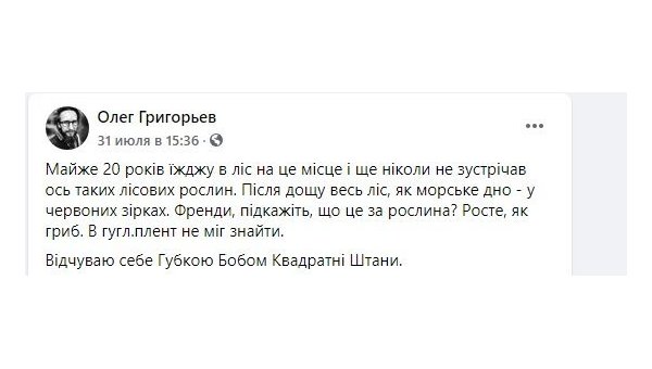 Украинцы наткнулись в лесу на «пальцы дьявола» Украинцы наткнулись в лесу на «пальцы дьявола»