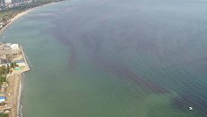 Море близ Одессы атаковали красные приливы-убийцы — видео