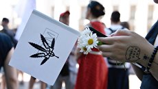 Легализация каннабиса: Зеленский делает Украину главным поставщиком наркотиков в Европу и США