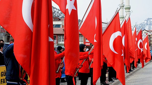 Эксперт назвала Турцию «исламистской картой НАТО»
