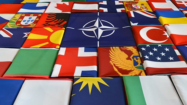 ДНР и ЛНР могут вступить в НАТО. Украинский вице-премьер пояснил, как такое возможно