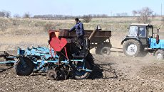 Сельское хозяйство Украины падает. Почему одних разговоров об аграрной сверхдержаве мало