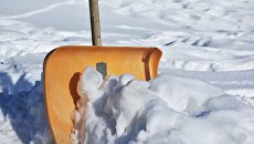 Украинец солгал об убийстве ради избавления от снега