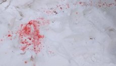 Раскрыта тайна жуткого розового снега в Киеве
