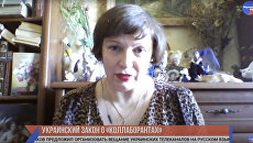 Адвокат Новицкая объяснила, зачем Киеву закон о коллаборантах — видео