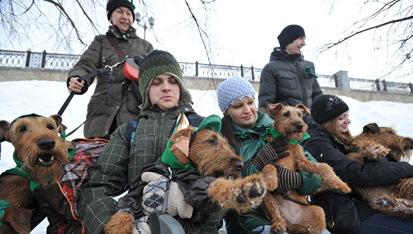 muck 2 день святого патрика. Смотреть фото muck 2 день святого патрика. Смотреть картинку muck 2 день святого патрика. Картинка про muck 2 день святого патрика. Фото muck 2 день святого патрика