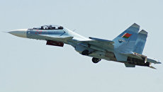 «Дайте нам эти самолеты». Зачем Лукашенко учебно-боевые центры с Россией?