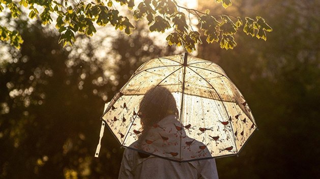 что значит парасолька на украинском. Смотреть фото что значит парасолька на украинском. Смотреть картинку что значит парасолька на украинском. Картинка про что значит парасолька на украинском. Фото что значит парасолька на украинском