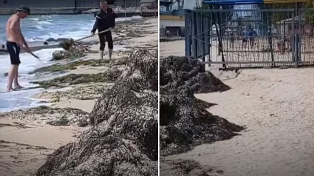 Уборка по-бердянски: популярный украинский курорт оскандалился оригинальной очисткой прибрежья