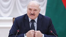 Лукашенко обвинил власти Германии в «крышевании» белорусских террористов
