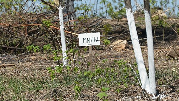 Ополченцы помогают селянам разминировать поля для уборки урожая Ополченцы помогают селянам разминировать поля для уборки урожая