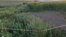 Автоматы выбросили в кукурузу: в ГБР рассказали подробности нападения на пограничников
