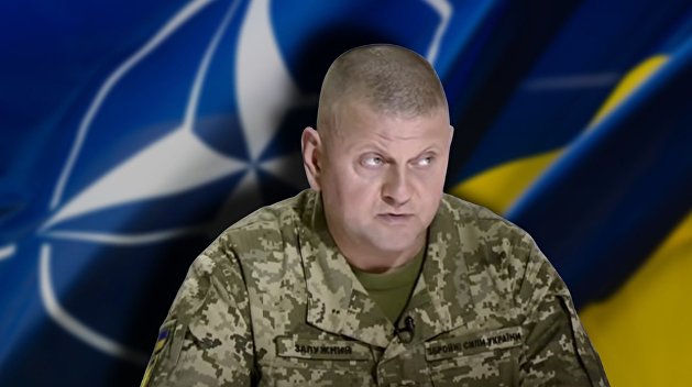 Почему Западу не нужно вступление Украины в НАТО Почему Западу не нужно вступление Украины в НАТО
