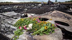 В Кремле назвали неуместными призывы к России признать ответственность за крушение MH17