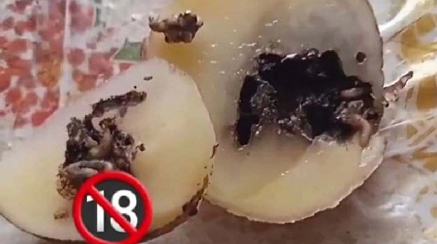 Овощи с мясной начинкой: в Мелитополе - новая продуктовая находка Овощи с мясной начинкой: в Мелитополе - новая продуктовая находка