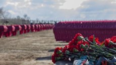 В ЛНР сообщили о массовых захоронениях жертв обстрелов ВСУ