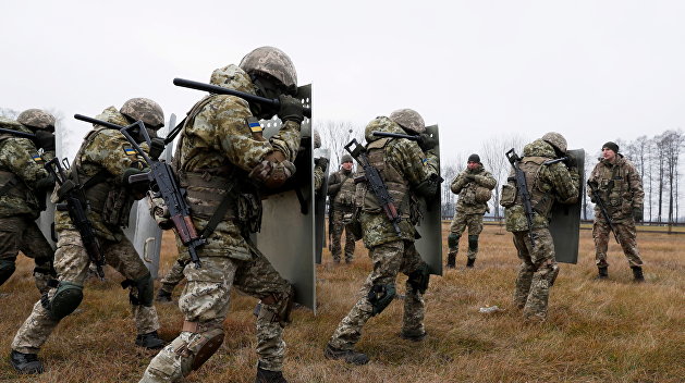 Живая стена. Зачем Украина создает «мощную группировку» на границе с Белоруссией Живая стена. Зачем Украина создает «мощную группировку» на границе с Белоруссией