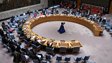Украина обратилась в Совет безопасности ООН