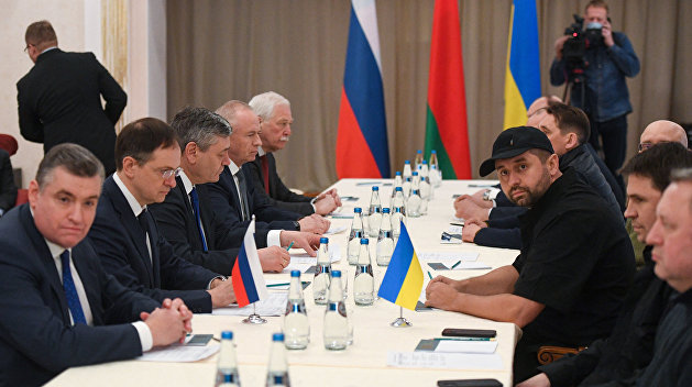 Неменский считает поведение украинской делегации на переговорах  "фальшивой демонстрацией готовности к миру"
